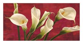 Calla Composition-Serena Biffi-Art Print