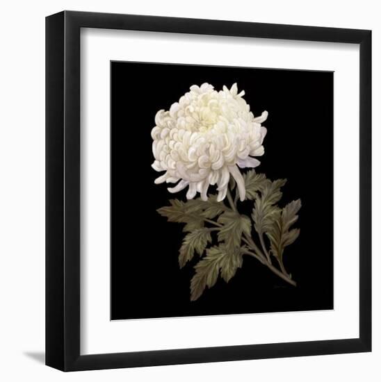 Serenade-Jan Sacca-Framed Art Print