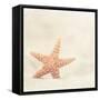 Serendipity-Carolyn Cochrane-Framed Stretched Canvas