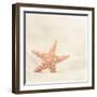 Serendipity-Carolyn Cochrane-Framed Photographic Print