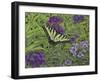 Serendipity-Jan Benz-Framed Giclee Print