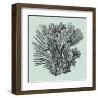 Serene Coral I-Vision Studio-Framed Art Print