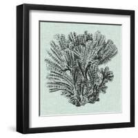 Serene Coral I-Vision Studio-Framed Art Print