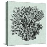 Serene Coral I-Vision Studio-Stretched Canvas