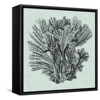 Serene Coral I-Vision Studio-Framed Stretched Canvas