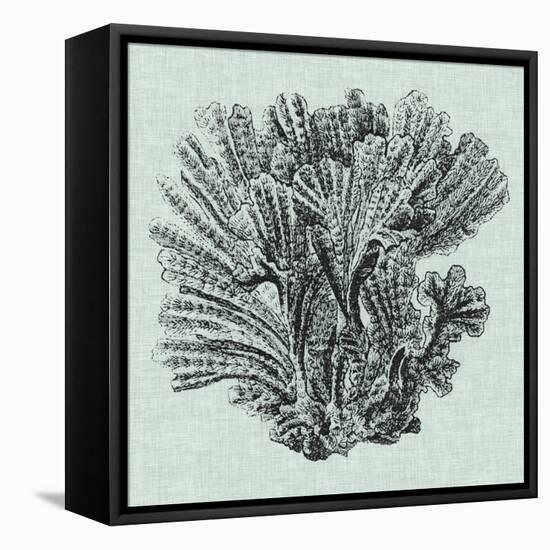 Serene Coral I-Vision Studio-Framed Stretched Canvas