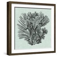 Serene Coral I-Vision Studio-Framed Art Print