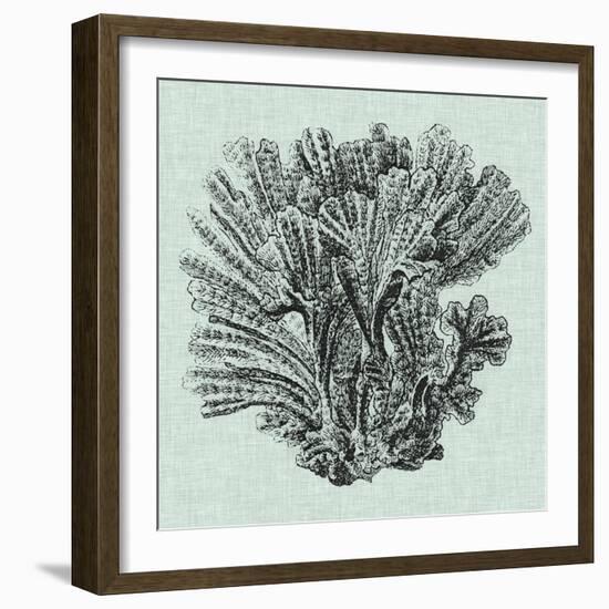 Serene Coral I-Vision Studio-Framed Art Print