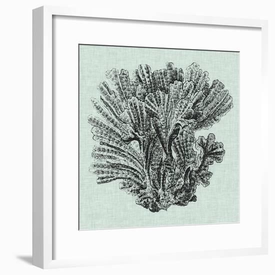 Serene Coral I-Vision Studio-Framed Art Print