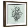 Serene Coral II-Vision Studio-Framed Art Print