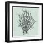 Serene Coral II-Vision Studio-Framed Art Print