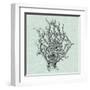 Serene Coral II-Vision Studio-Framed Art Print