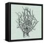 Serene Coral II-Vision Studio-Framed Stretched Canvas