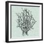 Serene Coral II-Vision Studio-Framed Art Print