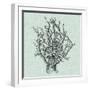 Serene Coral II-Vision Studio-Framed Art Print