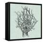 Serene Coral II-Vision Studio-Framed Stretched Canvas