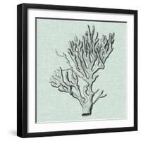 Serene Coral III-Vision Studio-Framed Art Print