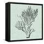 Serene Coral III-Vision Studio-Framed Stretched Canvas