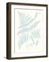 Serene Ferns I-Vision Studio-Framed Art Print