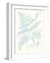 Serene Ferns I-Vision Studio-Framed Art Print