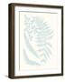 Serene Ferns II-Vision Studio-Framed Art Print