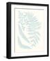 Serene Ferns II-Vision Studio-Framed Art Print