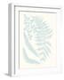 Serene Ferns II-Vision Studio-Framed Art Print