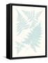 Serene Ferns IV-Vision Studio-Framed Stretched Canvas