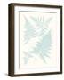 Serene Ferns IV-Vision Studio-Framed Art Print