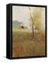 Serene Field-null-Framed Stretched Canvas