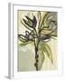 Serene Floral I-Angela Maritz-Framed Art Print