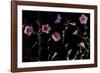 Serene Flutter-Wild Wonders of Europe-Framed Giclee Print