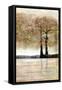 Serene Forest 2-Doris Charest-Framed Stretched Canvas