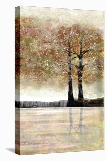 Serene Forest 2-Doris Charest-Stretched Canvas