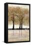 Serene Forest 3-Doris Charest-Framed Stretched Canvas