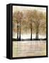 Serene Forest-Doris Charest-Framed Stretched Canvas