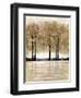 Serene Forest-Doris Charest-Framed Art Print