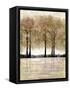 Serene Forest-Doris Charest-Framed Stretched Canvas