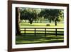 Serene Horses 1-Alan Hausenflock-Framed Photographic Print