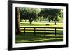 Serene Horses 1-Alan Hausenflock-Framed Photographic Print