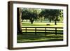 Serene Horses 1-Alan Hausenflock-Framed Photographic Print