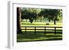 Serene Horses 1-Alan Hausenflock-Framed Photographic Print