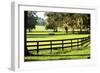 Serene Horses 2-Alan Hausenflock-Framed Photographic Print