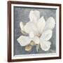 Serene Magnolia Gray-Julia Purinton-Framed Photographic Print