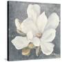 Serene Magnolia Gray-Julia Purinton-Stretched Canvas