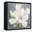 Serene Magnolia Gray-Julia Purinton-Framed Stretched Canvas