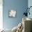 Serene Magnolia Gray-Julia Purinton-Stretched Canvas displayed on a wall