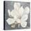 Serene Magnolia Gray-Julia Purinton-Stretched Canvas