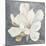 Serene Magnolia Gray-Julia Purinton-Mounted Photographic Print