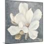 Serene Magnolia Gray-Julia Purinton-Mounted Photographic Print